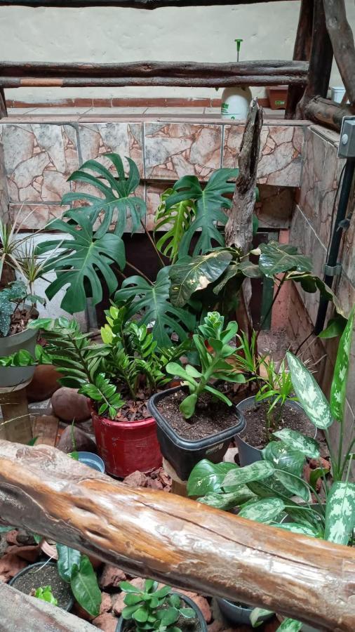 Hostel Casa Latina Ленсойс Экстерьер фото